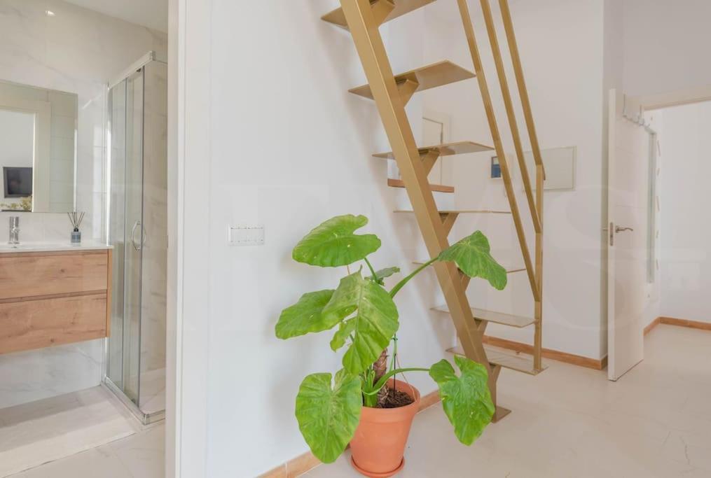 Penthouse With Private Rooftop - Center By Rems Apartment *